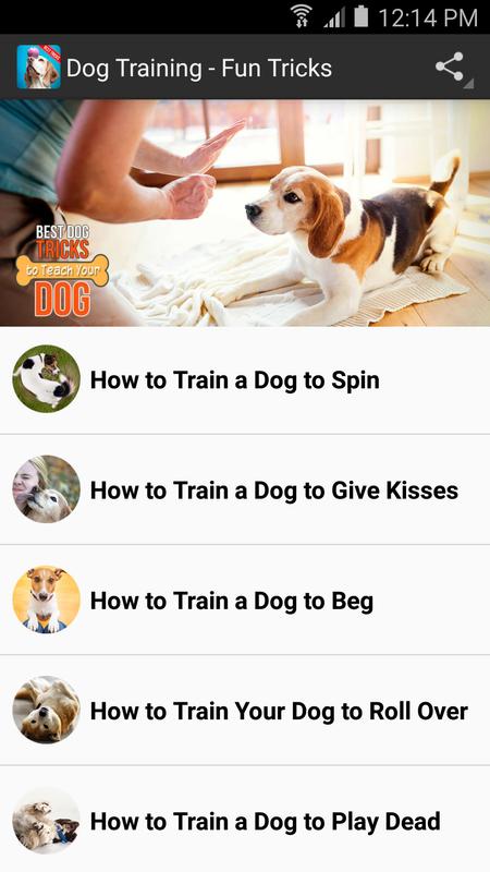 Dog Training Tricks Commands For Mac